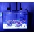 Lampa LED do akwarium morskiego Asta 20